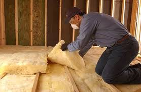 Holly, MI Insulation Removal & Installation Company