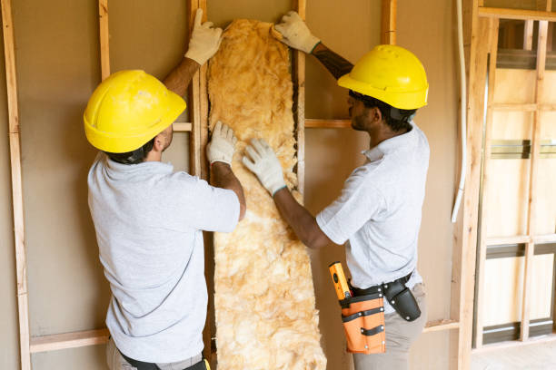  Holly, MI Insulation Removal & Installation Pros