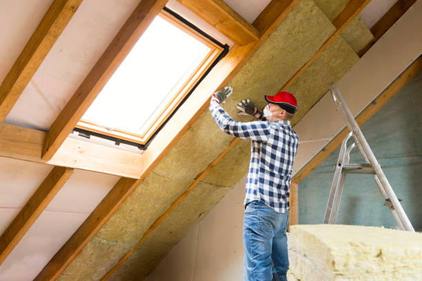 Best Wall Insulation Installation in Holly, MI